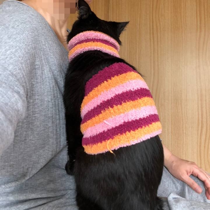 410828a1 90f6 4af0 aec8 3ed3777d3564 1588575162652