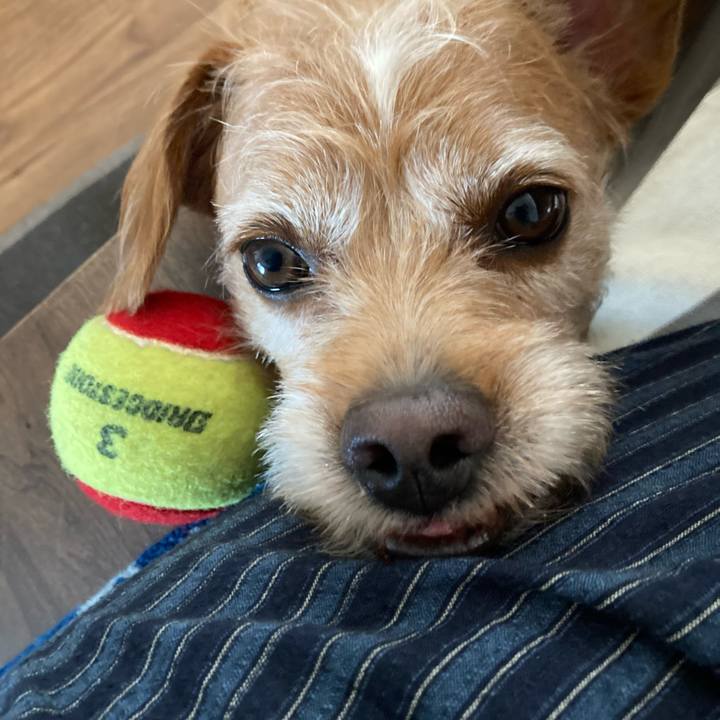 410838f5 feec 4694 955e a7fcd30295a4 1660872055251