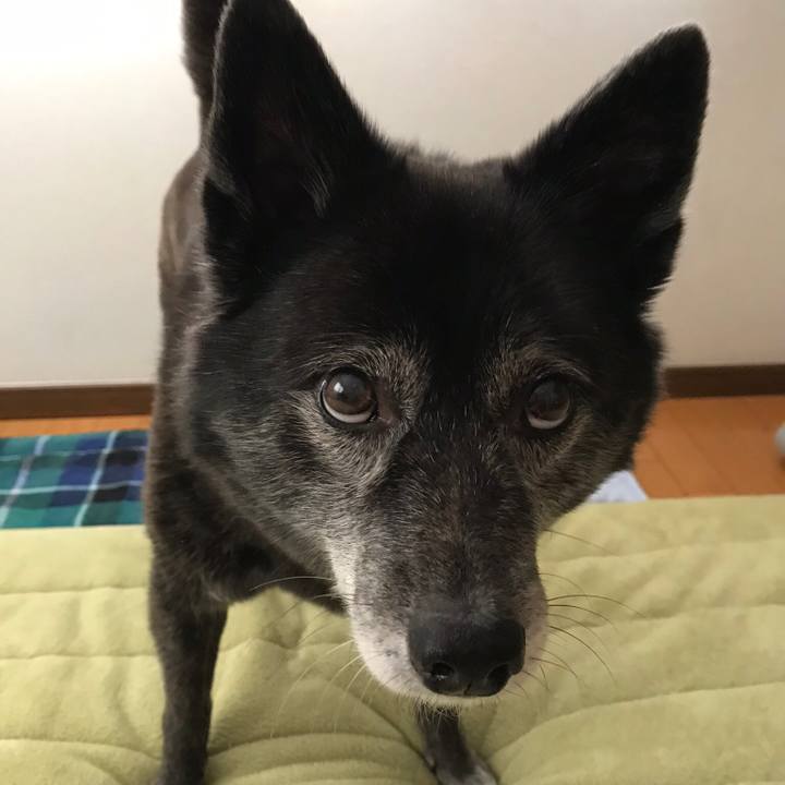 41083ee0 85c3 456c 81e9 8c36a769b93e 1557709727739