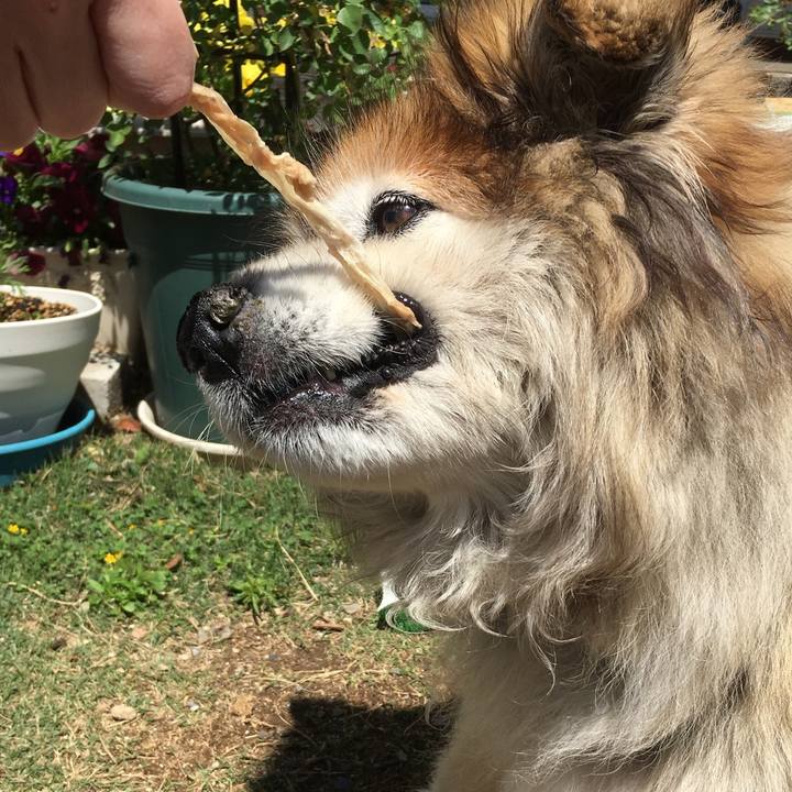 4108536b b799 4f33 abea 650f47cac394 1618284311345