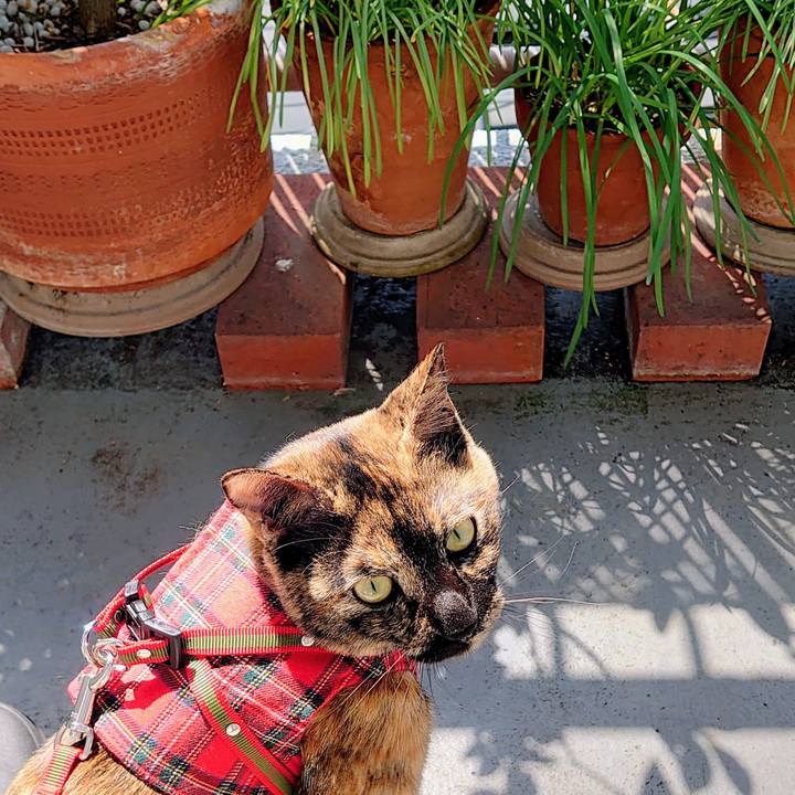 410855bb 8558 4c4d a8f8 d6de735f07ce 1756806959109