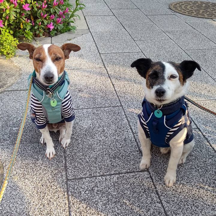 4108684b d8df 4ba4 8f6d f6c77d5cce89 1713568162904