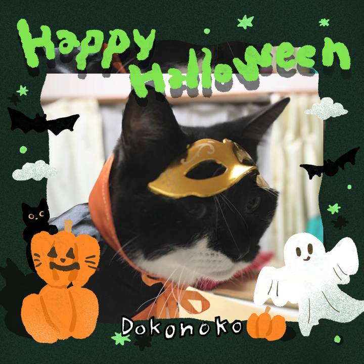 410877e6 5574 47fb 828a 33f5dfae2f67 1730343972403