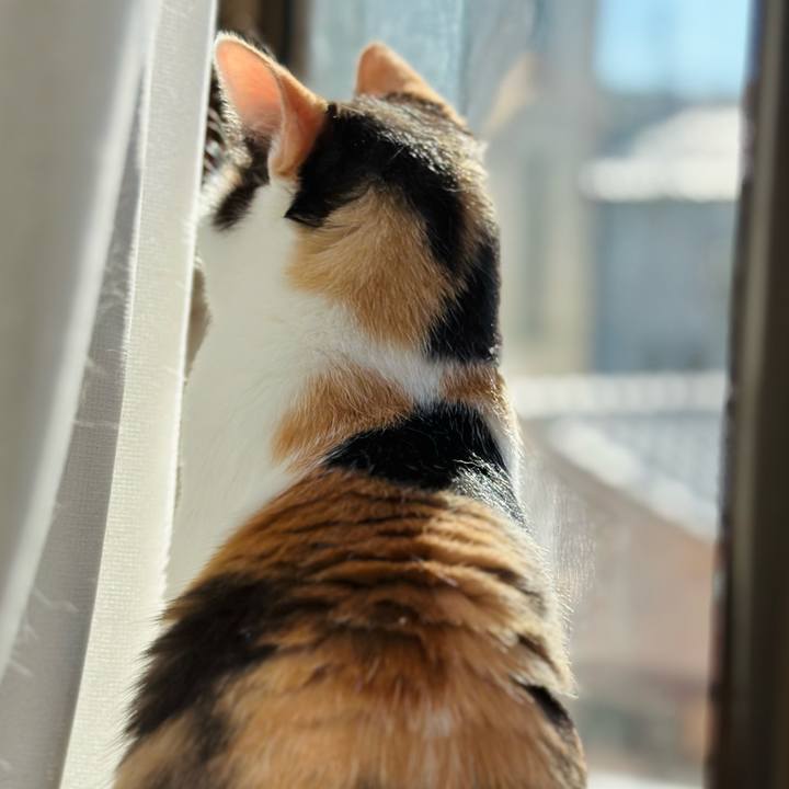 4108859d 4198 417f bb95 710339ffd22d 1724197870581