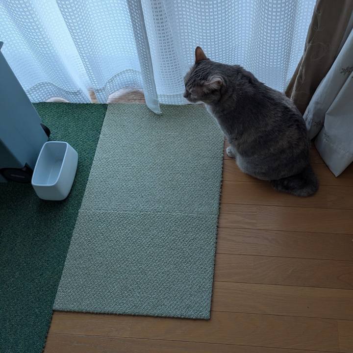 41088884 1d27 4aa5 a734 0bd7fb867d38 1756885638118