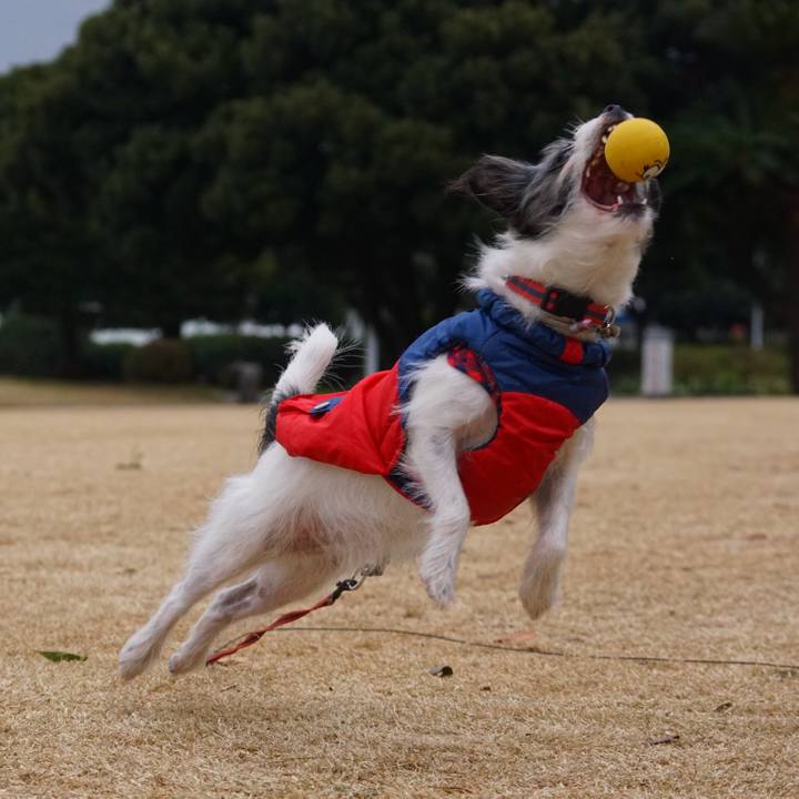 410914b1 a5b5 4992 99da 48eff49d649f 1547124293805