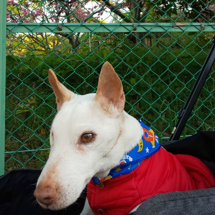 41091d58 3f49 4d12 bd30 90d55f7435b0 1555752747599