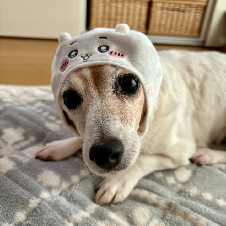 4109319b 3be7 4c7c 9dc4 9b298c40284f 1725025705755