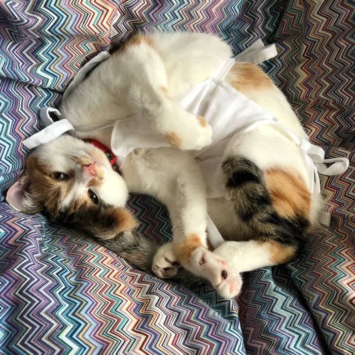 41095002 aaeb 4378 b13c 0f957cc906c5 1571614590187