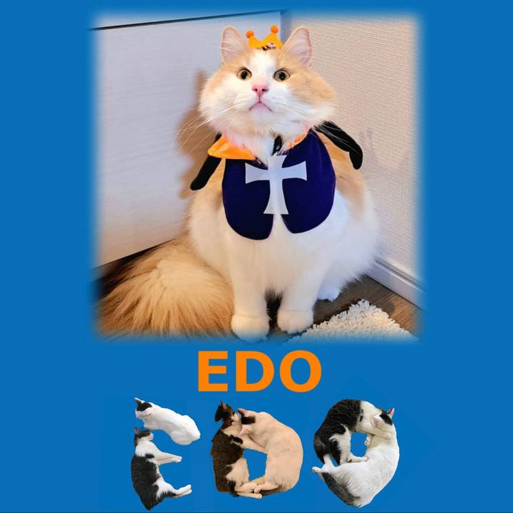 41095b40 35a5 4aeb 842b 056acb8a321c 1667479469019