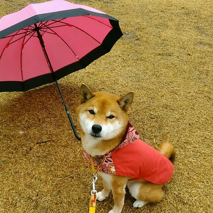 41096553 7499 4d9e a33e dcf19407d4cd 1579053087216