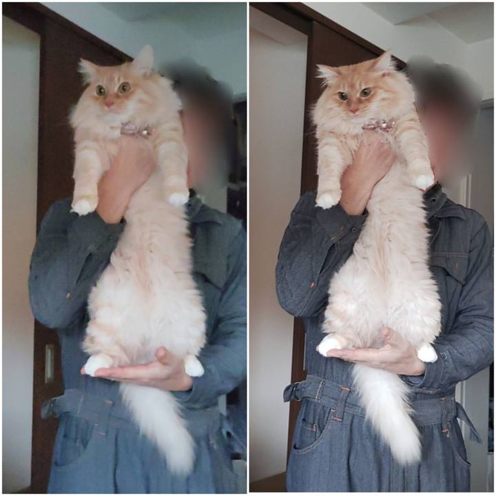 4109730a 1955 476a ad9b 77778ea3941b 1673839405913