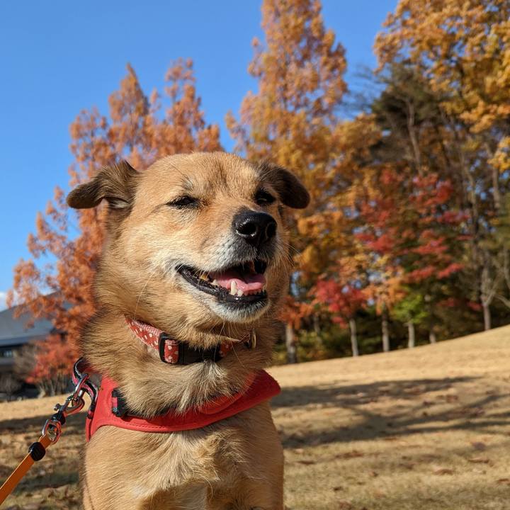 410974d0 f197 4c5e 98e0 07dc2fa7d7cf 1668302043920