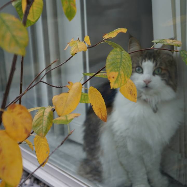 4109915c 3322 40f8 9759 ef9f2957db16 1544492891016