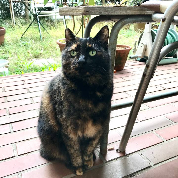 41099680 18eb 456f ae56 ecbef345b752 1510983342215