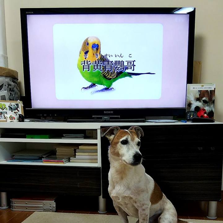 4109a036 dce3 4a87 8ed4 a757f6f58864 1554070070939