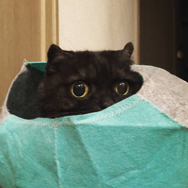 4109c65f 2298 4bf1 8739 cbd407eb7f56 1573137096970