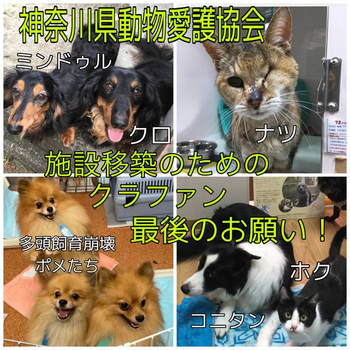 410a0d6c 44fc 40f3 a90a 771f689babba 1689294764857