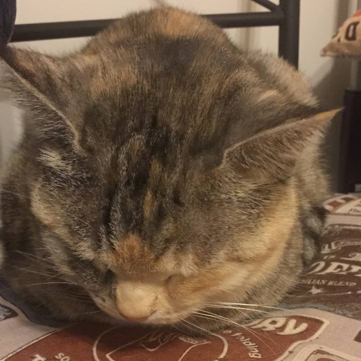 410a1055 b87d 4455 b0bd d9add4230521 1553010099182