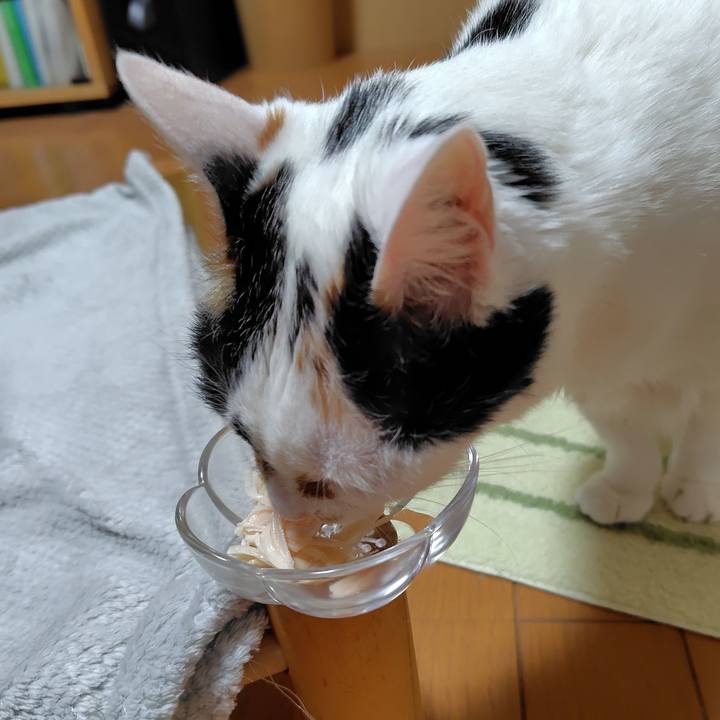 410a1f1e 9f86 4ee8 997d a91208d04fad 1771758454955