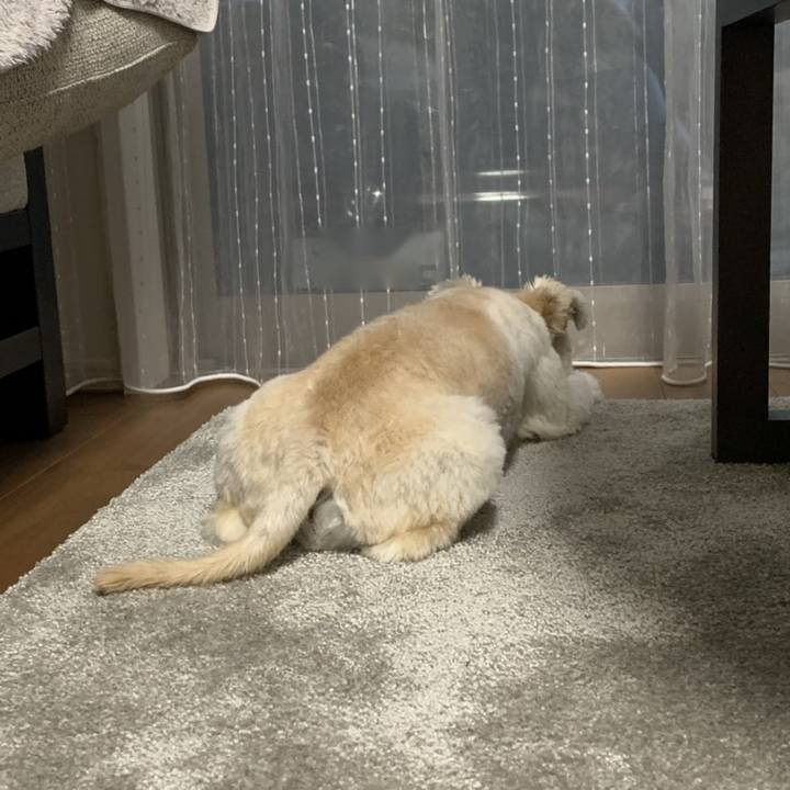 410a2723 ccea 4faa 8181 b4777cfa1287 1628768268506