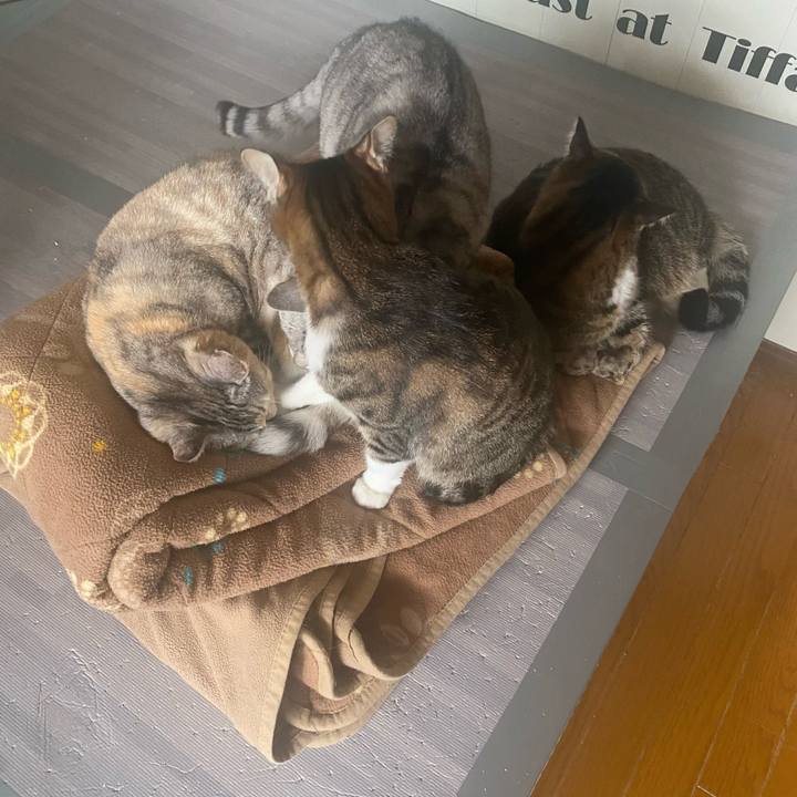 410a2f67 4f0a 448c a65f d228edc2f709 1652061157048