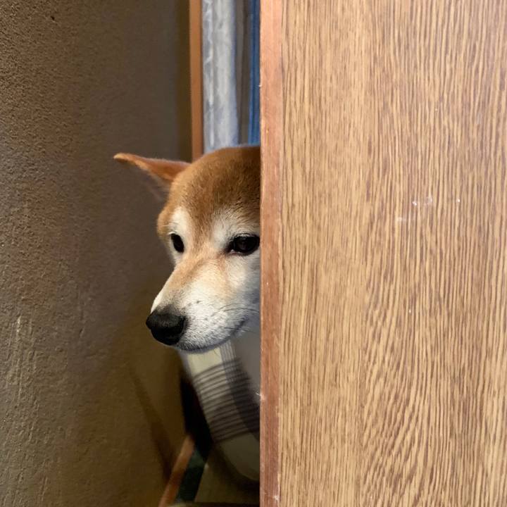 410a49a3 78b0 4cb9 a66a 915c5fb09b4a 1564046488475