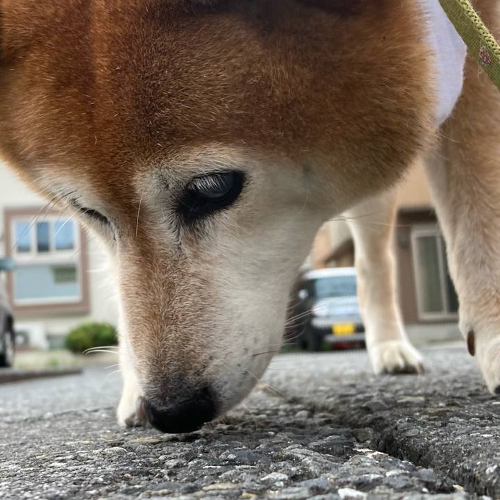 410a4d48 6a01 4e07 a927 22831ac59587 1689325219435