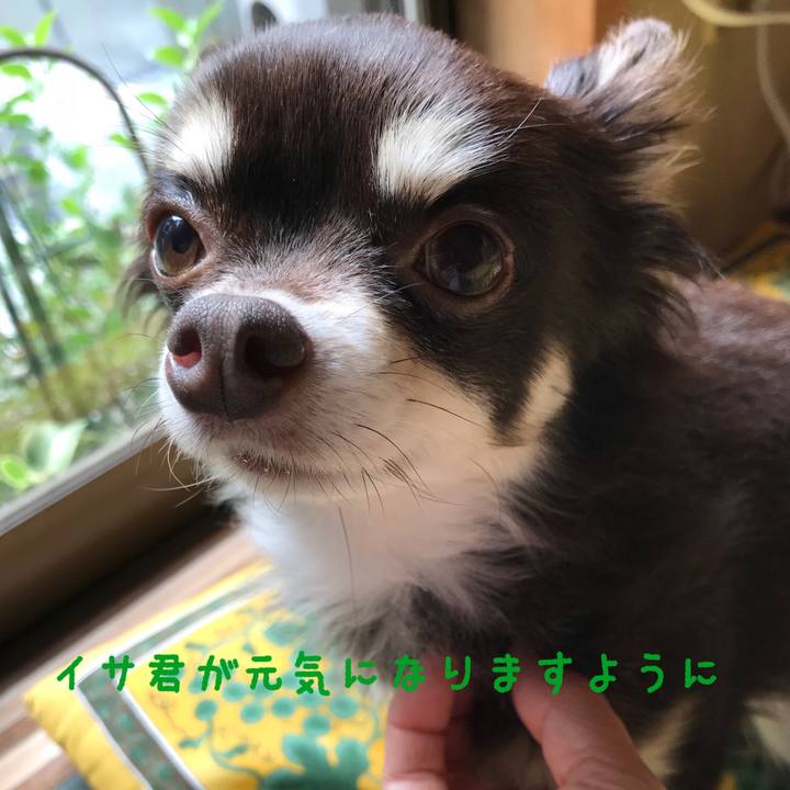 410a55dd 81ee 486b 81c8 1b7714cfbe17 1508810718403