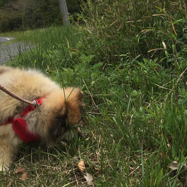 410a80d8 5a34 449c a91c 7eaec8f3fdcb 1622902453178