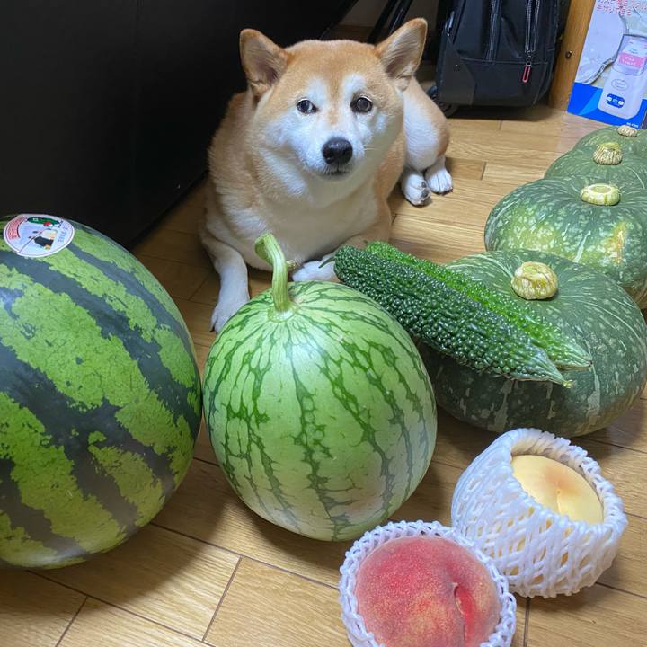 410aaacb 4d38 455b 9477 1193744ac6ad 1628632852588