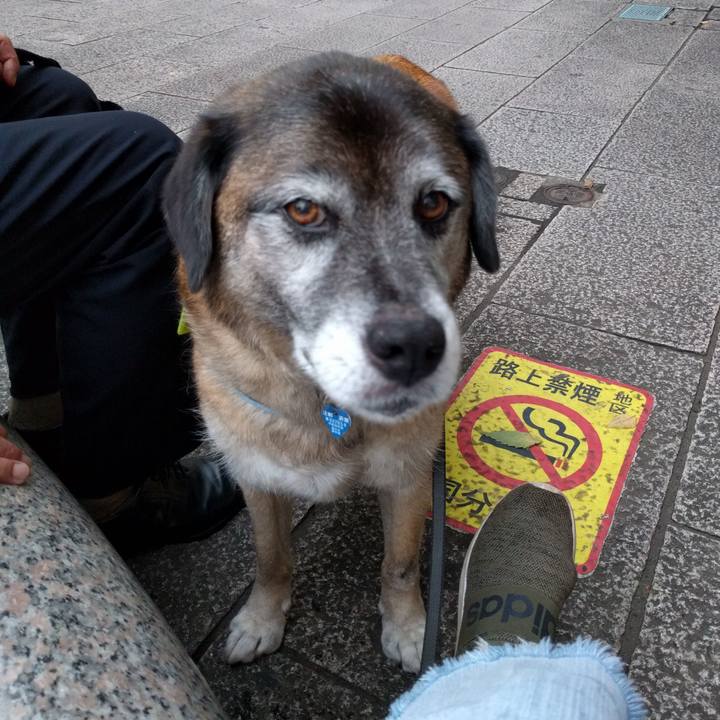 410ac48e 9a71 4bab 9857 ec8509ffdac0 1529577377824