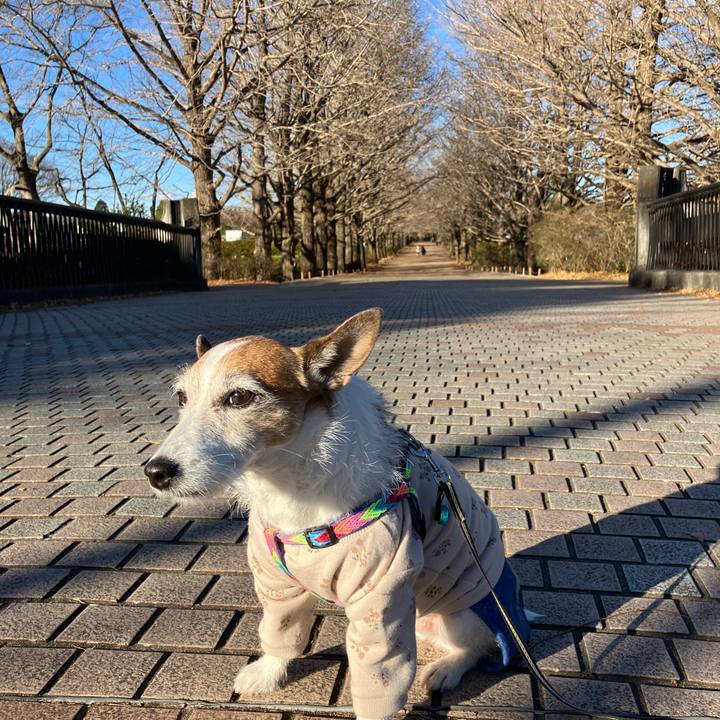 410ac8b4 9765 4785 97a5 7ece0f1af83b 1671406246283