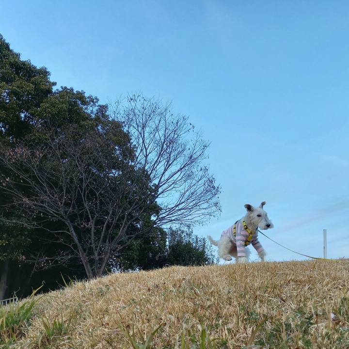 410acef7 19bf 4c07 9b67 492406eb9374 1641717408419