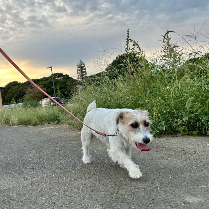 410ad5fd 3232 4041 a8d1 ce192566c517 1695630660585