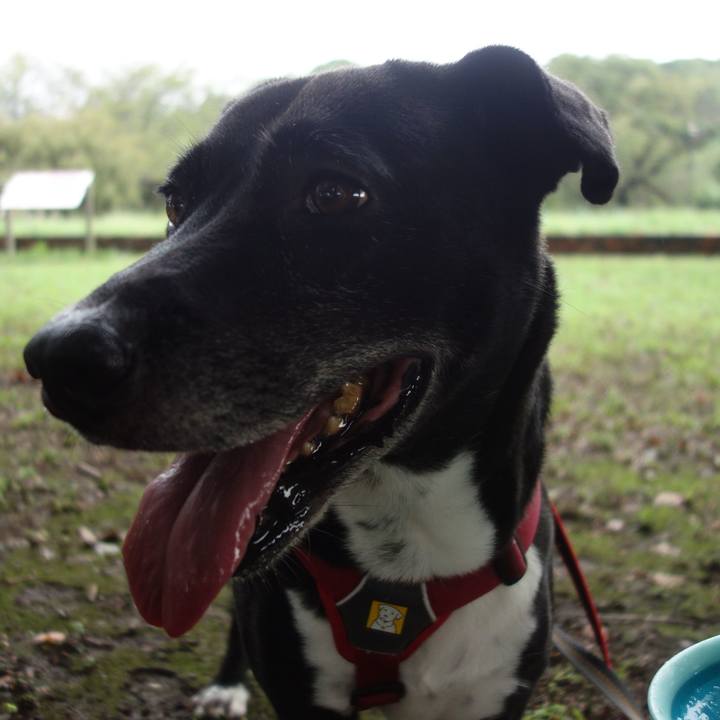 410afe9a f1f9 4760 b300 798cb7e2835c 1694219641924