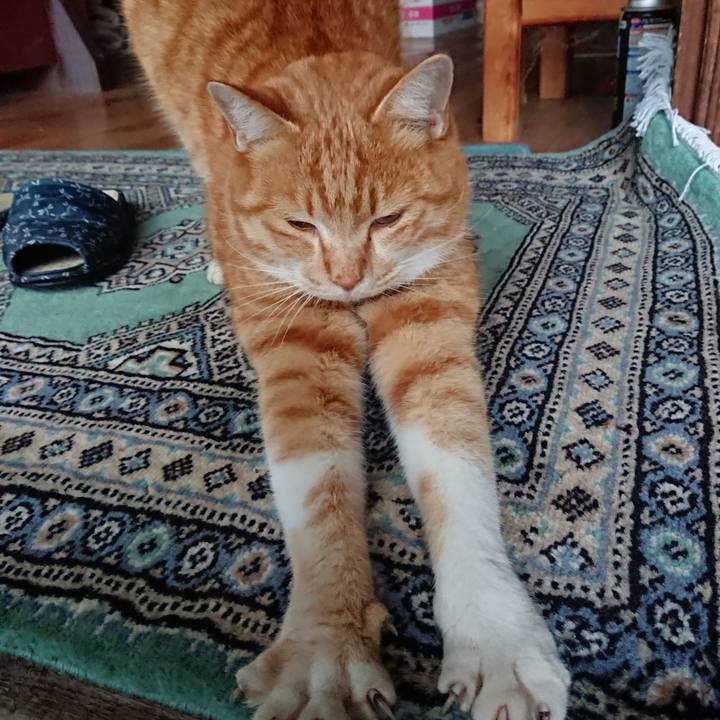 410b394f 2414 408f afad 9c831b1554cf 1578870857449