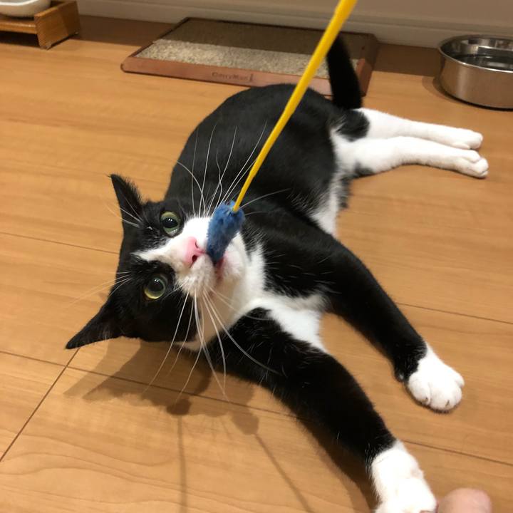 410b710b c622 4897 aa79 2b04ec410e71 1535452747746