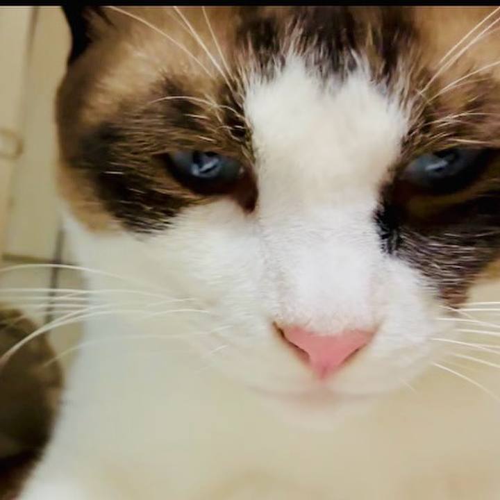 410b783a f111 4458 8f46 213defc8b1ee 1755941840664