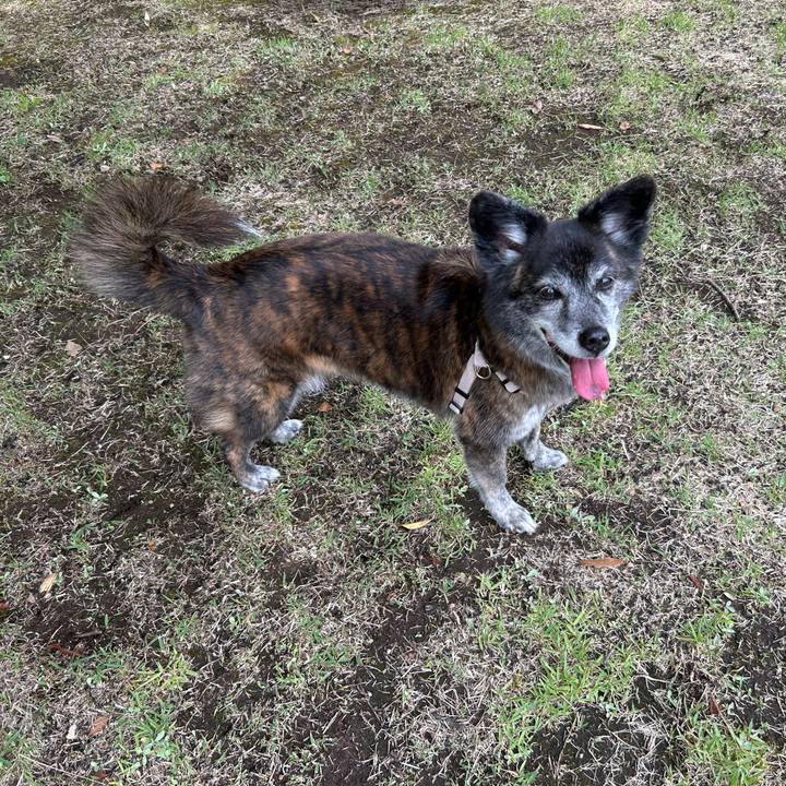 410b7a33 0f1e 4b00 8bbb 7a36257adde3 1718840299706