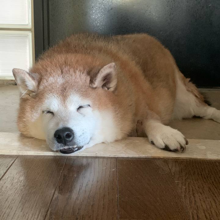 410b7b92 d250 41bd bd6e cf6b9eca48d6 1620540055254