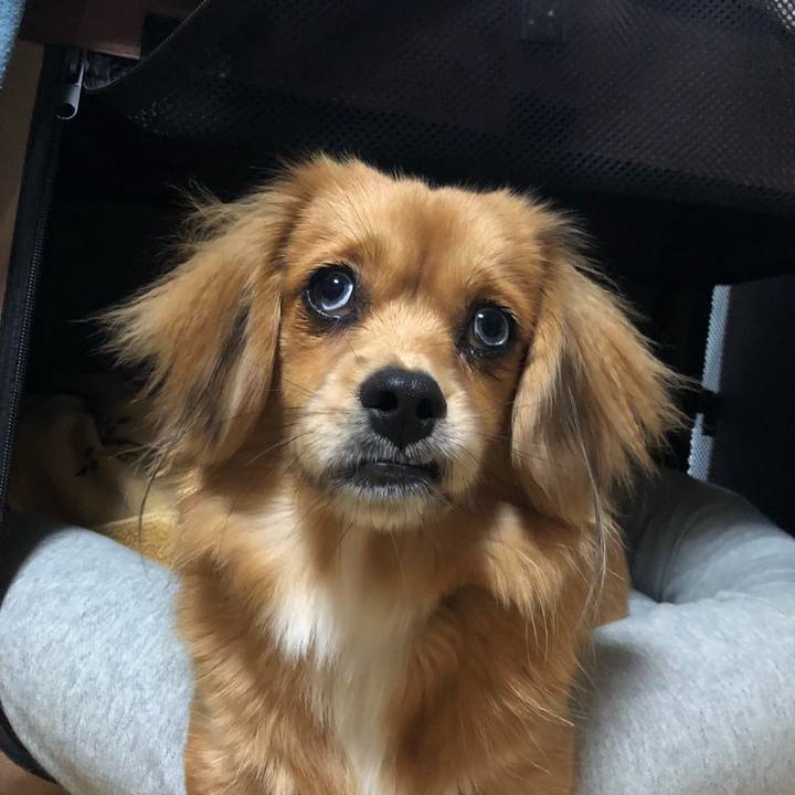 410b7d95 5030 47a7 8d3a efd4e4cb0a4b 1511993629661