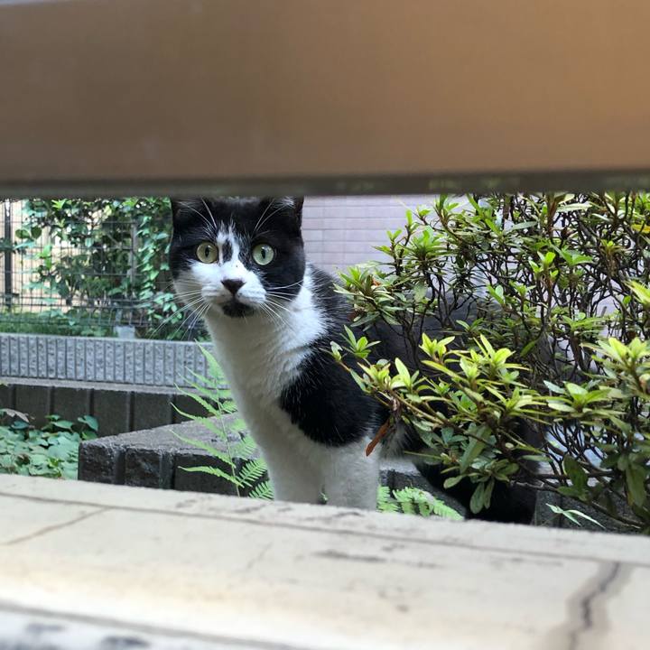 410be47c 3f18 44cd 8b53 e1977822a952 1565876483223