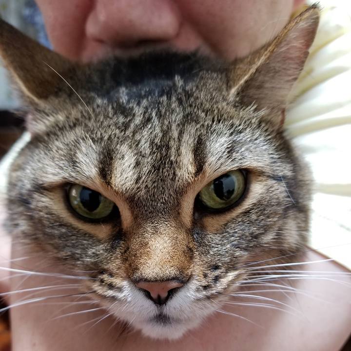 410bed9d 7649 4ef7 8c61 f70e6a92a93c 1623935381854