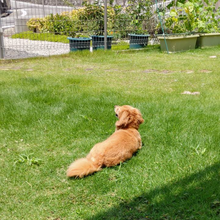 410c34f7 4761 40d9 a188 b6d4af920ad7 1658032308874