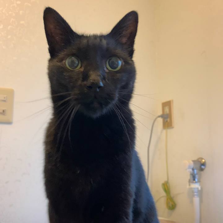 410c4b11 e2bf 4cda 86a6 ead21a6f8e2f 1601170276387