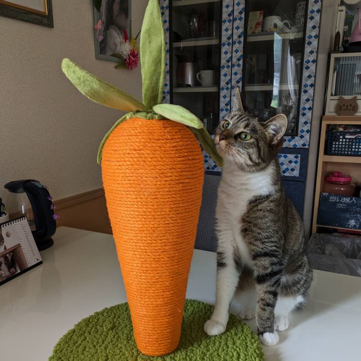 410c6959 4113 4b85 b509 68246fce12ab 1688105327315