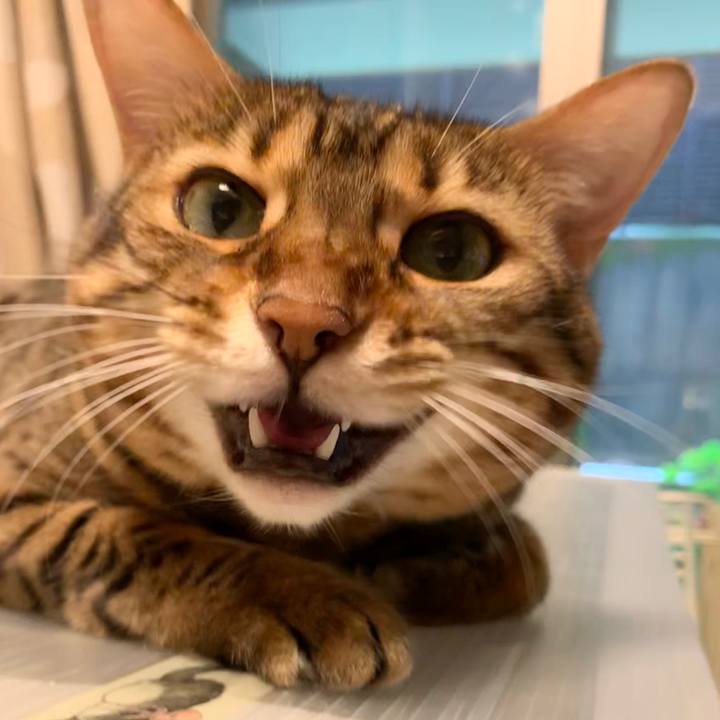 410c768d eed9 4ba2 9bd9 f40a423ccff4 1593908703971