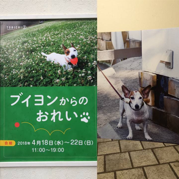 410c8c8a 72a2 444e a1be 7e69a7792f15 1524040224101