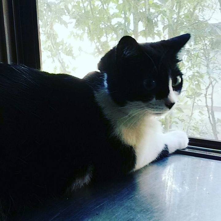 410c94f9 4339 47ec a318 e63ebdb6df97 1531910222994